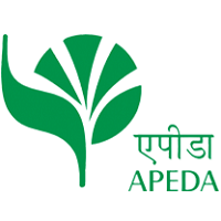 ఏపీఈడీఏలో బిజినెస్‌ డెవలప్‌మెంట్‌ పోస్టులు