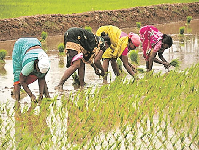 ‘ఆర్య.ఏజీ’ నివేదిక