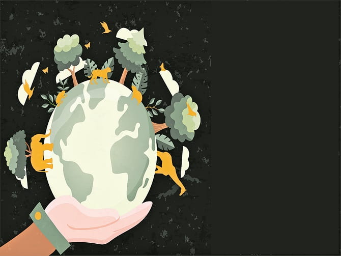 భారతదేశంలోని బయోడైవర్సిటీ హాట్‌స్పాట్స్‌