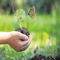 భారత్‌లో పర్యావరణ పరిరక్షణ సంస్థలు