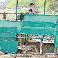 భారత్‌లో వన్యప్రాణుల సంరక్షణ ప్రాజెక్టులు (పార్ట్‌ - 2)