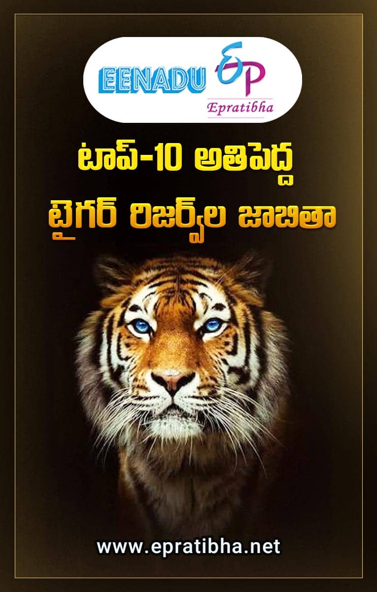 eenadu epratibha
